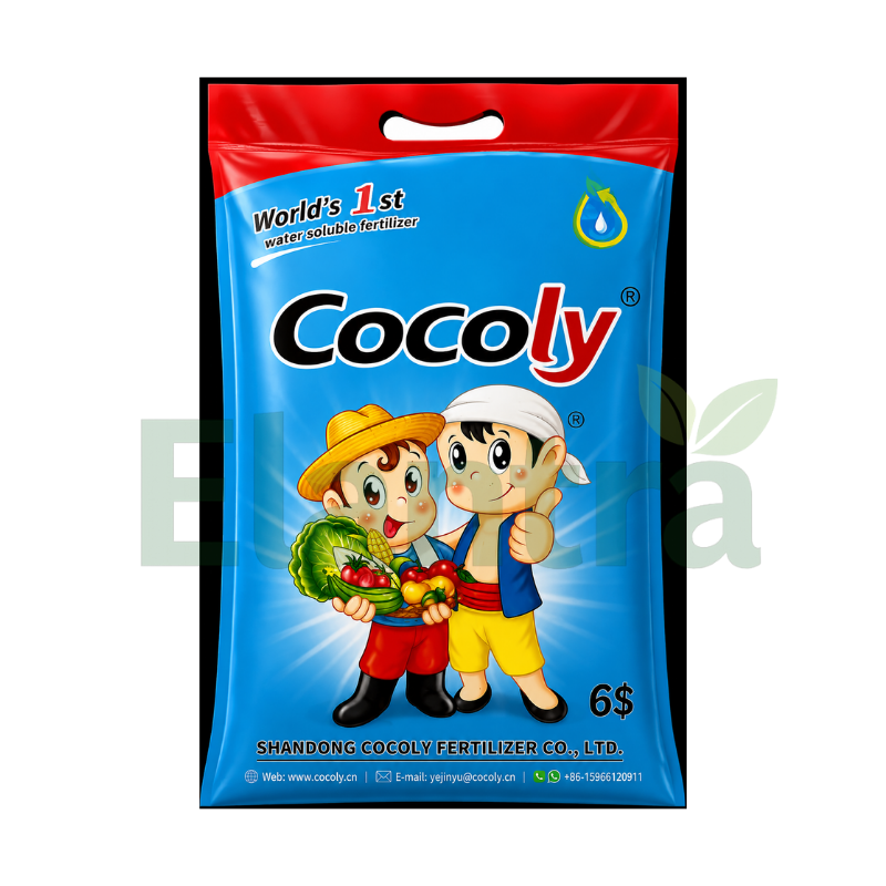 COCOLY