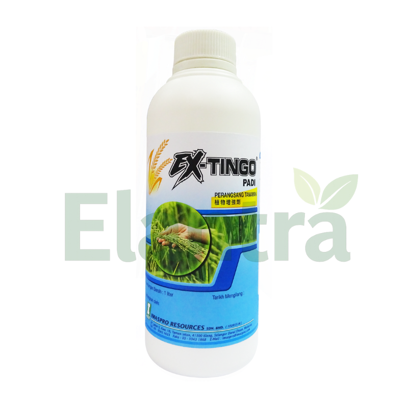 EX-TINGO