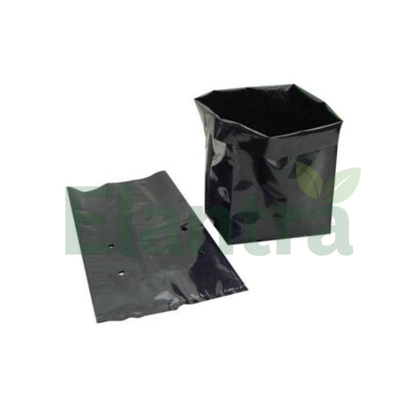 POLYBAG